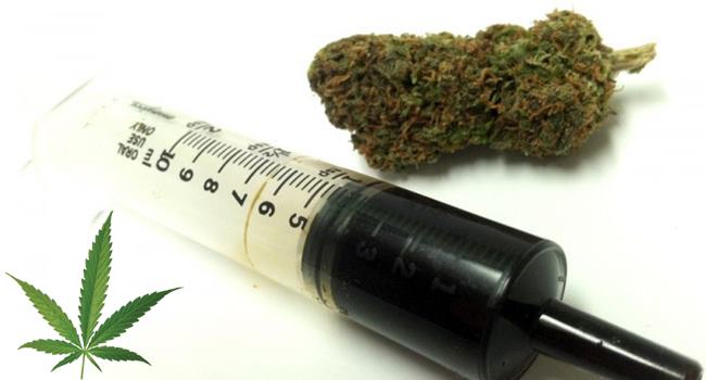 canabidiol-maconha