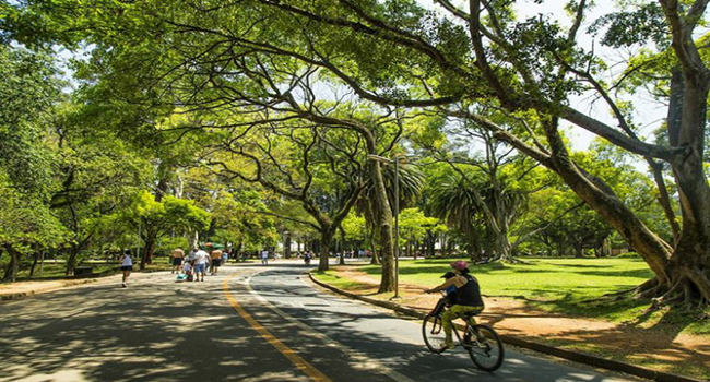 Parque-Ibirapuera-sp