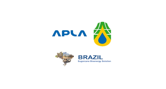 projeto-brazil-sugarcane