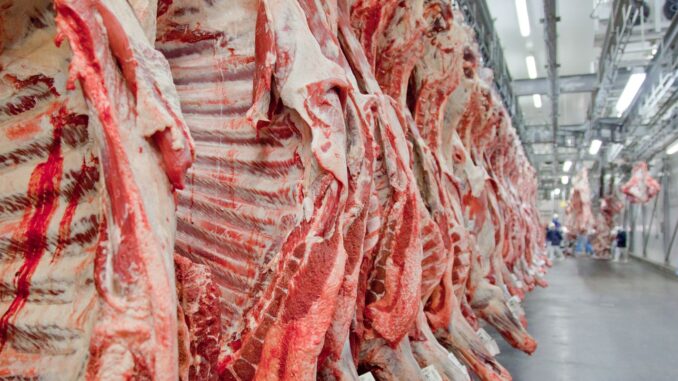 Imagem destacada - Brasil bate recorde de exportação de carne bovina antes de tarifa