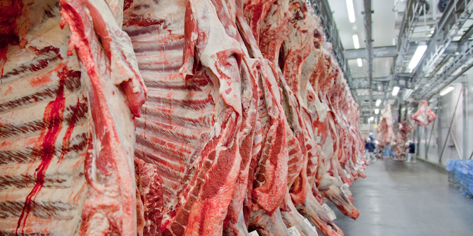 Brasil bate recorde de exportação de carne bovina antes de tarifa - Imagem do artigo