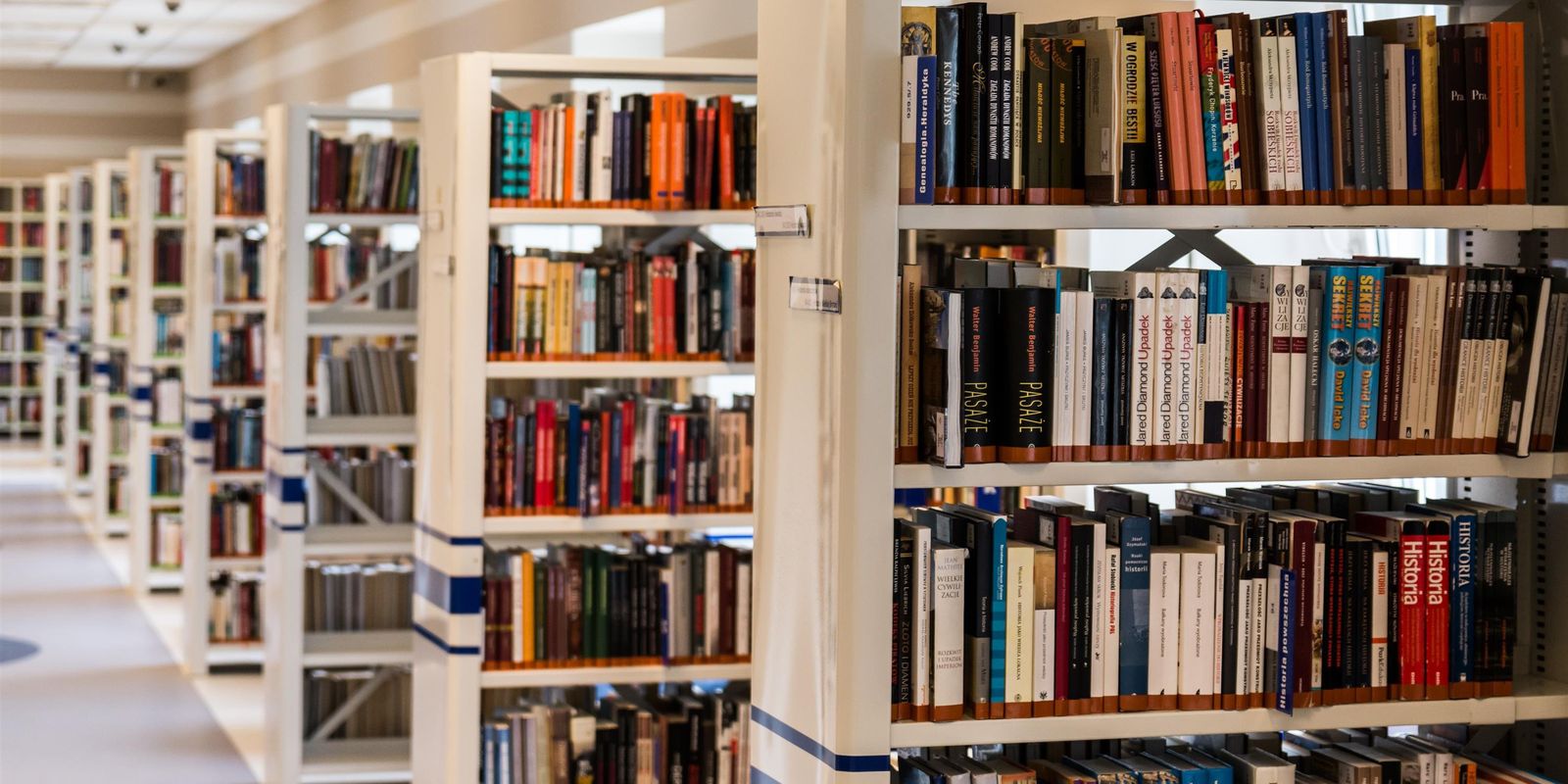 Pesquisa mostra hábitos de leitura de jovens na periferia de SP - Imagem do artigo