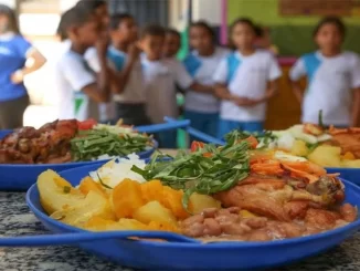 Câmara impõe validade mínima e amplia verba da merenda escolar em escola com crianças aprendendo na sala de aula, foco na alimentação escolar de qualidade.