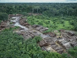 Região da Amazônia sofre com desmatamento intenso, que elimina aproximadamente 52 milhões de hectares ao longo de 40 anos, impactando o ecossistema e o clima.