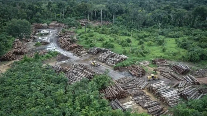 desmatamento-amazonia-52milhoes-de-hectares-em-40-anos Região da Amazônia sofre com desmatamento intenso, que elimina aproximadamente 52 milhões de hectares ao longo de 40 anos, impactando o ecossistema e o clima.
