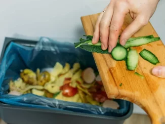 Pessoas descartando alimentos como vegetais e frutas que seriam jogados fora, ilustrando a importância da nova política nacional contra perda e desperdício de alimentos aprovada pela Câmara.