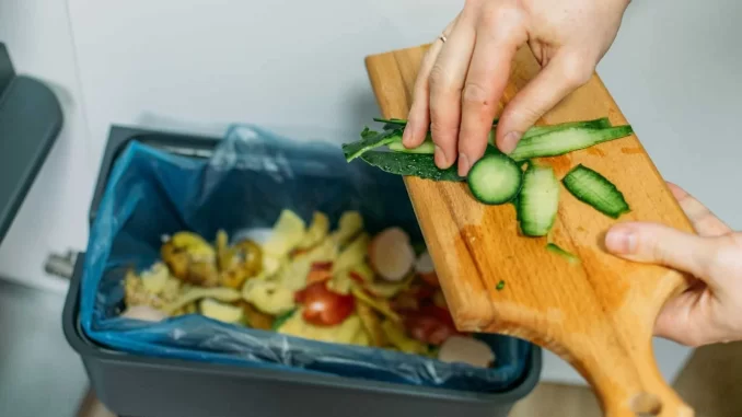politica-nacional-contra-perda-e-desperdicio-de-alimentos-jpg Pessoas descartando alimentos como vegetais e frutas que seriam jogados fora, ilustrando a importância da nova política nacional contra perda e desperdício de alimentos aprovada pela Câmara.