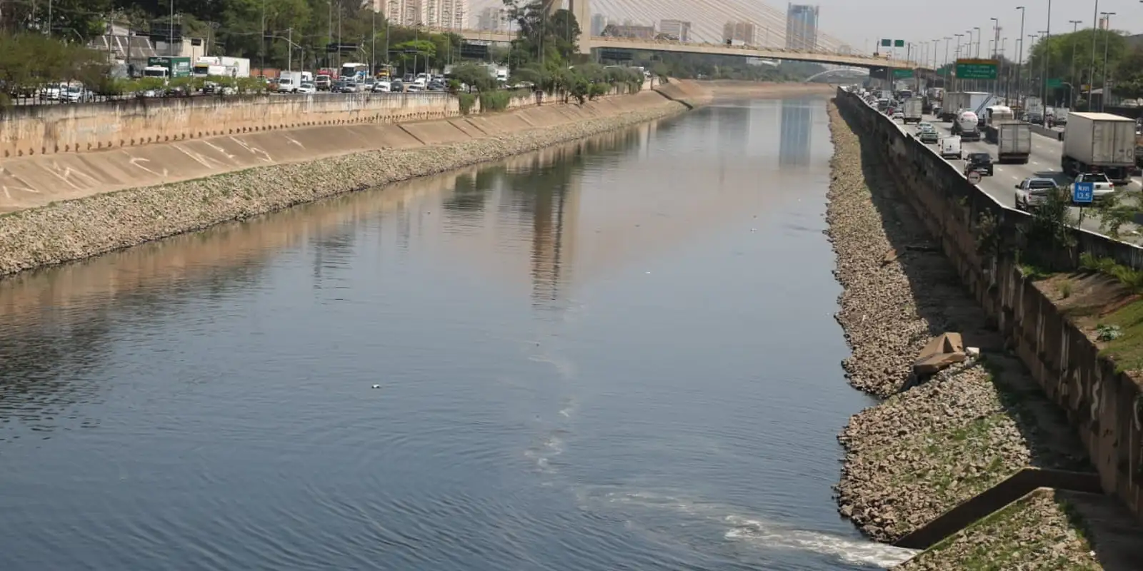 Mancha no Rio Tietê cai, mas rio segue vulnerável, diz estudo - Imagem do artigo
