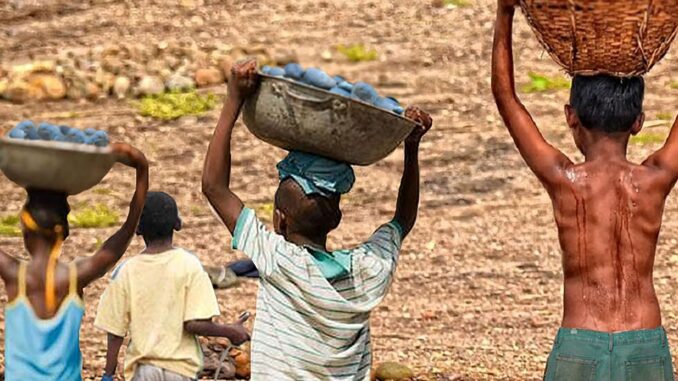 Imagem destacada - Brasil reduz trabalho infantil grave ao menor nível histórico em 2024