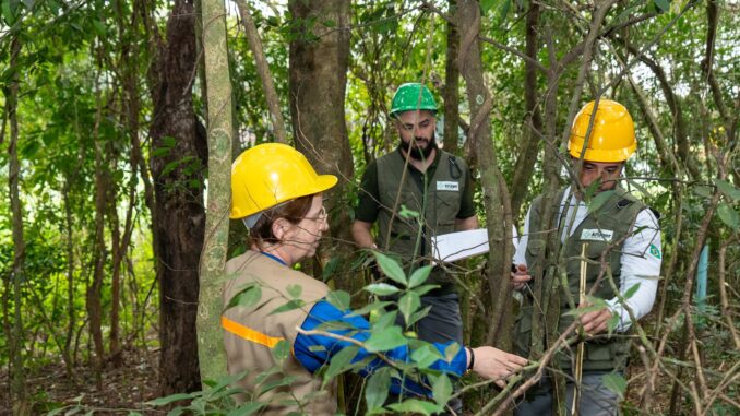 Imagem destacada - Itaipu triplica diversidade florestal na área de proteção do lago