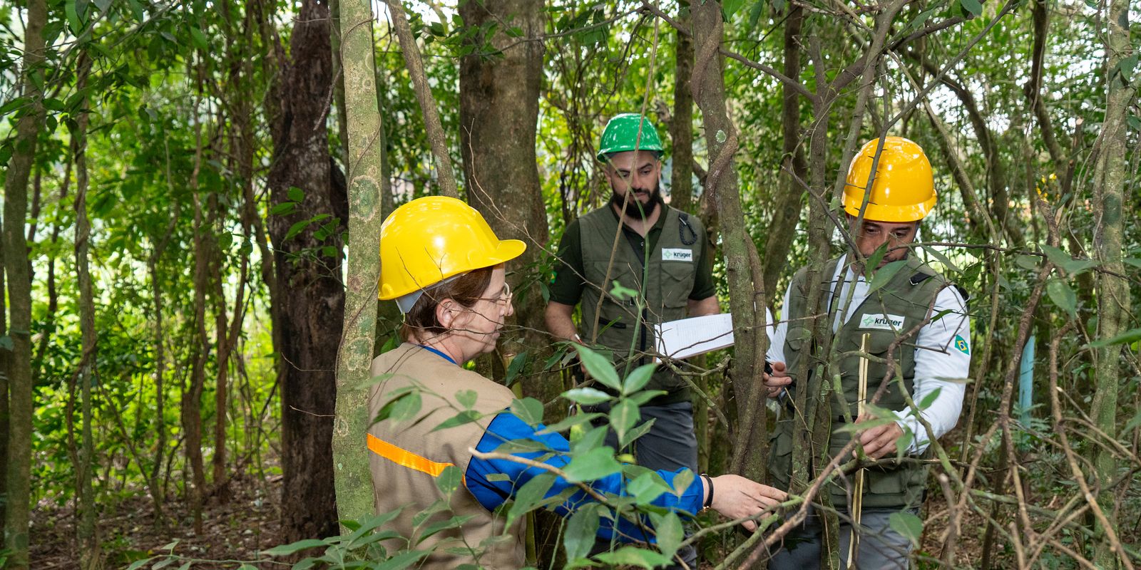 Itaipu triplica diversidade florestal na área de proteção do lago - Imagem do artigo