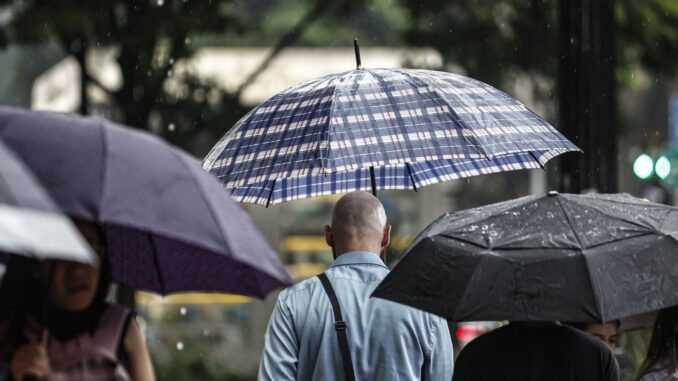 Imagem destacada - Temporal corta luz de 900 mil e derruba árvores em SP