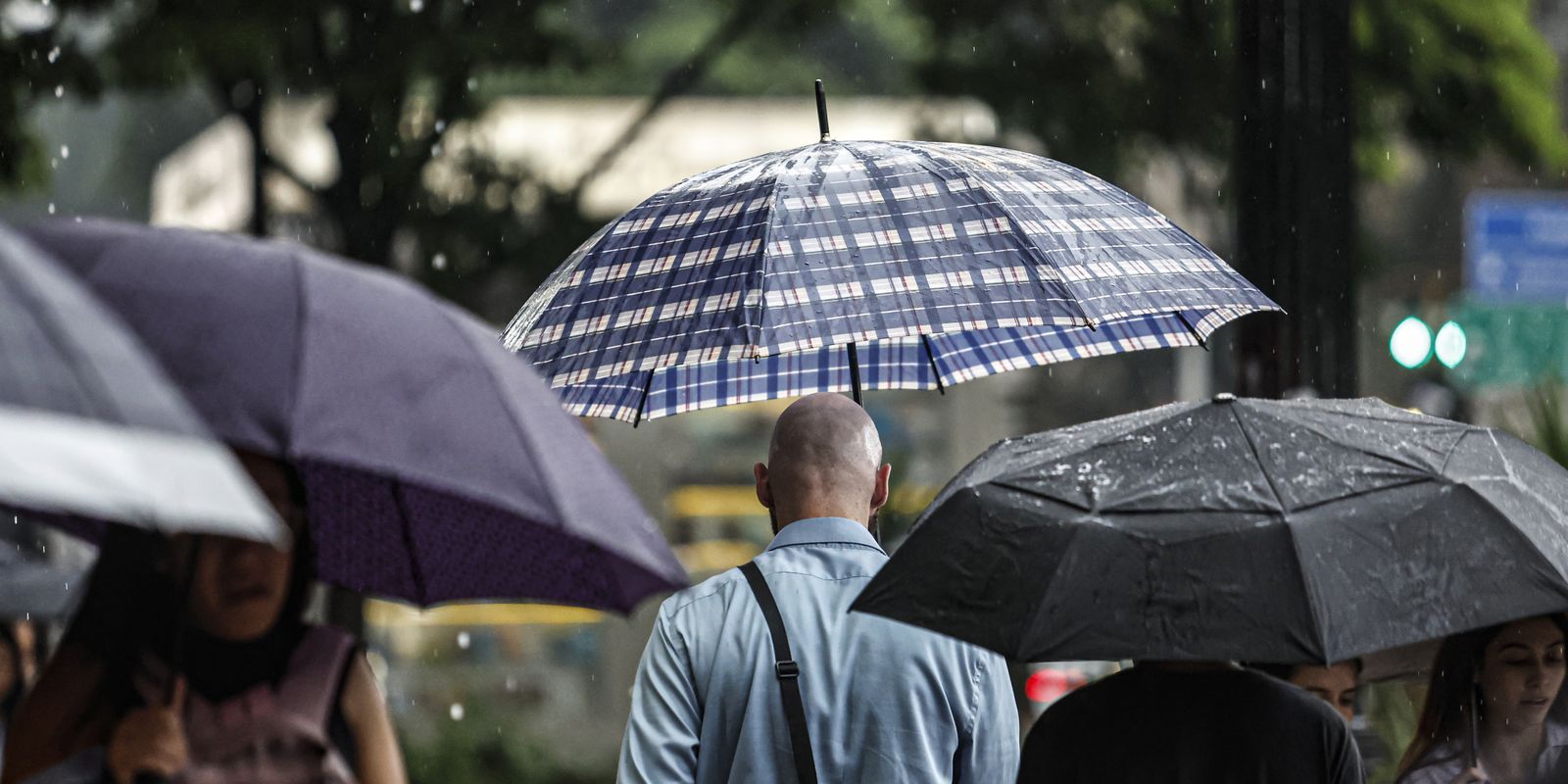 Temporal corta luz de 900 mil e derruba árvores em SP - Imagem do artigo