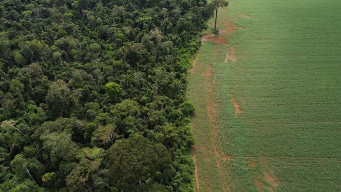 Imagem destacada - Brasil detalha novos mecanismos de financiamento climático na ONU durante evento