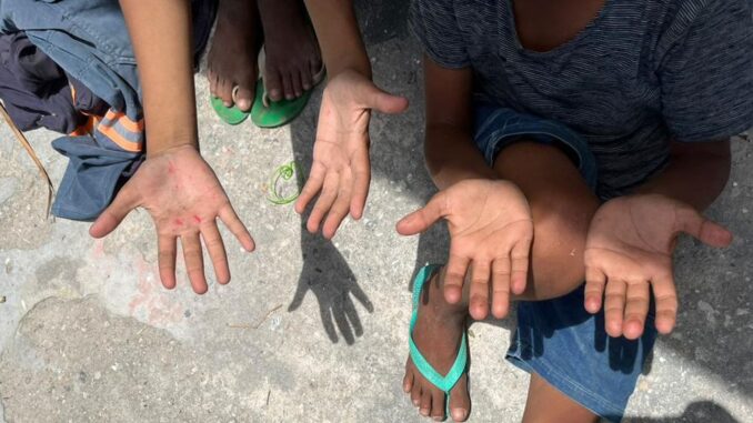 Imagem destacada - ONG alerta para recorde de trabalho infantil de 5 a 9 anos
