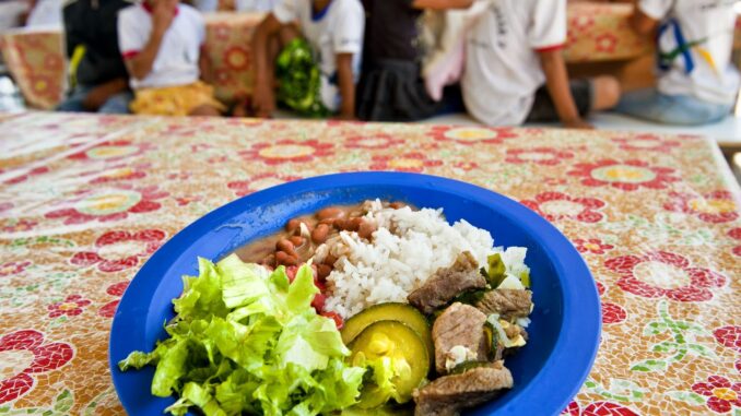 Imagem destacada - Unesco critica qualidade da alimentação escolar e cobra mais fiscalização