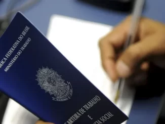 Pessoa segurando carteira de trabalho do Brasil, símbolo de recuperação econômica e aumento de empregos, com a taxa de desemprego caindo a 5,6% desde 2012.