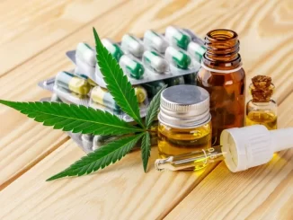 Imagem ilustrativa relacionada à solicitação da AGU de 180 dias extras para definir regras da cannabis medicinal, incluindo medicamentos, óleo e folha de cannabis.