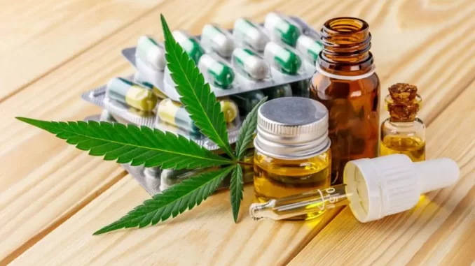 agu-solicita-180-dias-regras-cannabis-medicinal Imagem ilustrativa relacionada à solicitação da AGU de 180 dias extras para definir regras da cannabis medicinal, incluindo medicamentos, óleo e folha de cannabis.