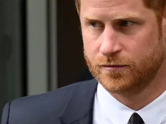 Príncipe Harry falando sobre tentativas de sabotagem na reconciliação com o rei.