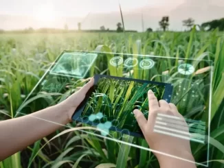 Tecnologia e sustentabilidade no campo com uso de dispositivos digitais e inteligência artificial na agricultura, destacando a integração da inovação para o futuro.