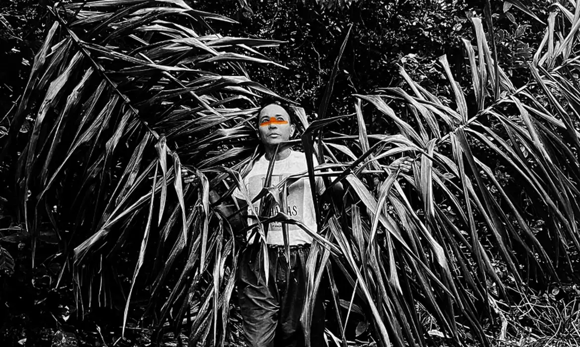 Exposição no Museu da Diversidade discute gênero, sexualidade e natureza - Imagem do artigo original