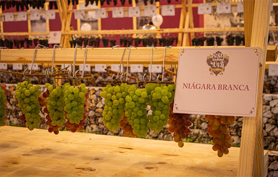 Imagem do artigo original