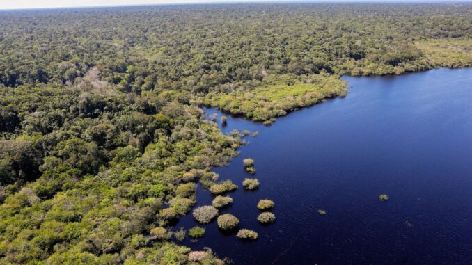 Imagem destacada - Governo lança leilão do Eco Invest com foco exclusivo na Amazônia