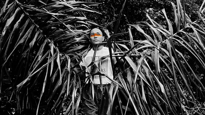 Imagem destacada - Exposição no Museu da Diversidade discute gênero, sexualidade e natureza