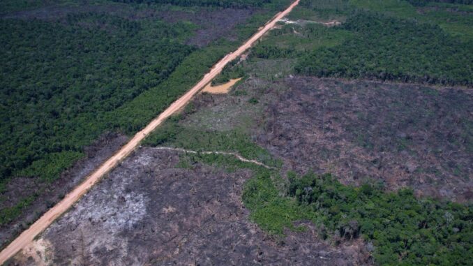 Imagem destacada - Estradas ilegais na BR-319 avançam em áreas protegidas da Amazônia