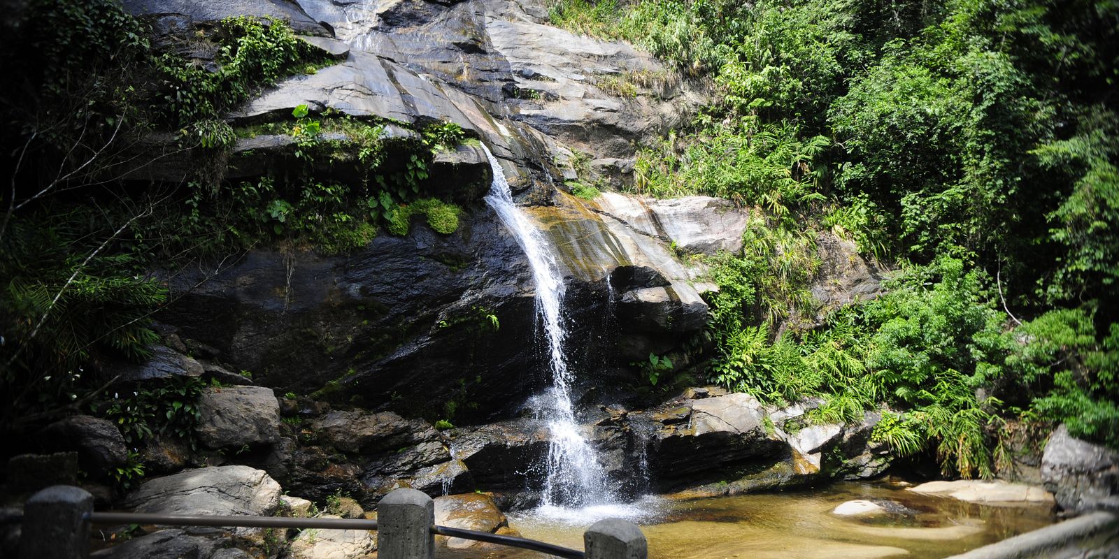 Feira de ciências explora peixes do Parque Nacional da Tijuca - Imagem do artigo