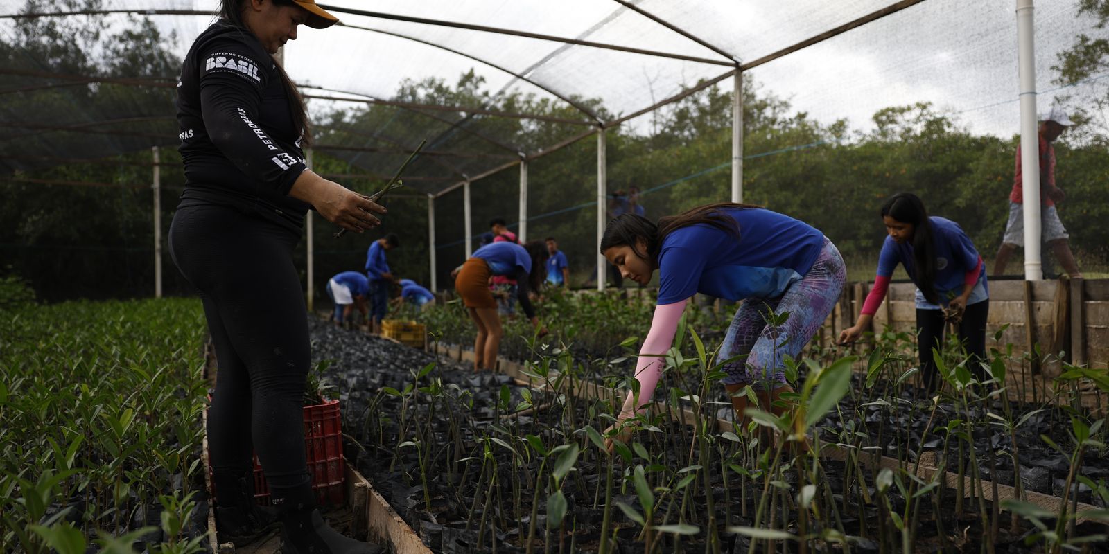 Acordo leva energia renovável a vilas remotas no Norte da Amazônia - Imagem do artigo
