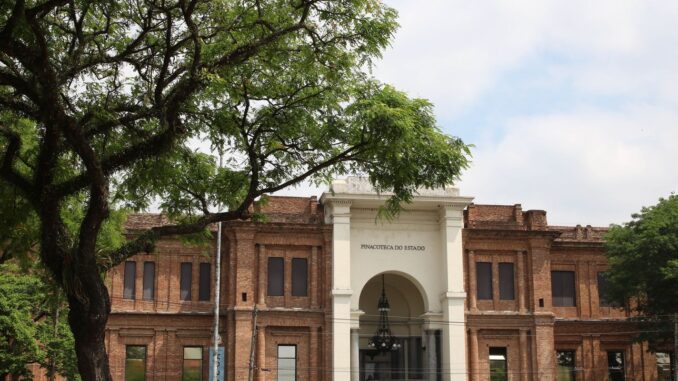Imagem destacada - Parque da Luz e Pinacoteca celebram 200 e 120 anos em SP