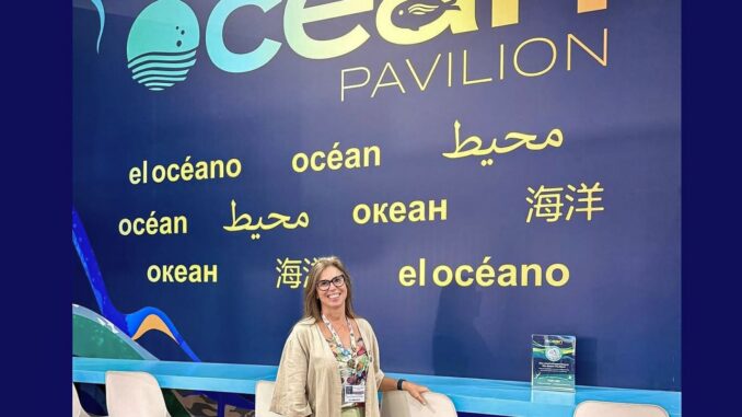 Imagem destacada - Pacote Azul da COP30 aposta nos oceanos para cortar 35% CO₂