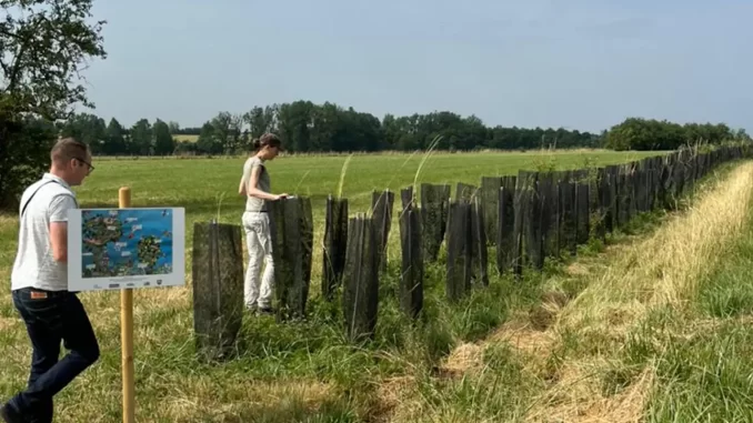 Imagem destacada - Agrofloresta alia lavoura e árvores para reduzir impacto climático global