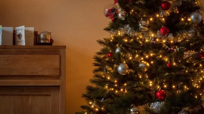 arvore-de-natal-luzes-evitar-riscos Árvore de Natal decorada com luzes e enfeites na sala de estar, lembrando a importância de especialistas alertarem para desligar as luzes de Natal à noite para evitar riscos de incêndio e acidentes.