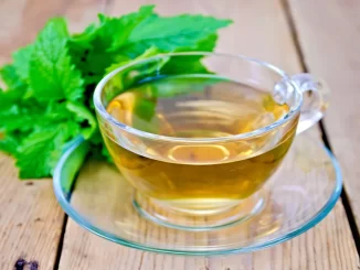 Chá de hortelã-pimenta em xícara de vidro, conhecido por reduzir o estresse e favorecer a memória e o sono, com folhas de hortelã ao lado.