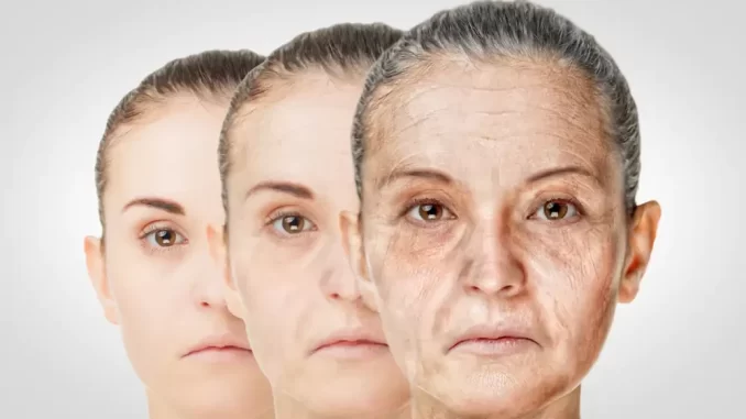 Evolução do envelhecimento facial ao longo da vida mostra picos de envelhecimento acelerado aos 44 e 60 anos, ilustrando impacto do envelhecimento na pele.