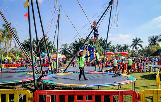 Imagem do artigo original