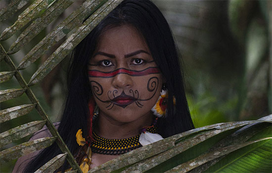 Imagem do artigo original