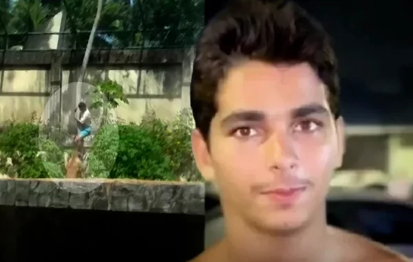 Imagem do artigo original