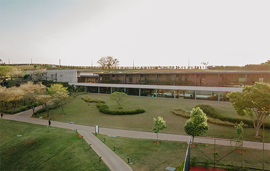 Imagem do artigo original