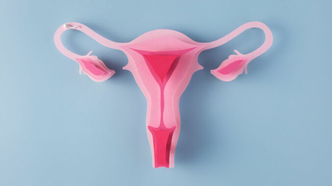 Imagem destacada - Síndrome de Asherman: quando o útero cola e reduz a fertilidade