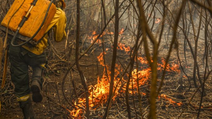 Imagem destacada - Painel do governo detalha 14 anos de gastos climáticos federais