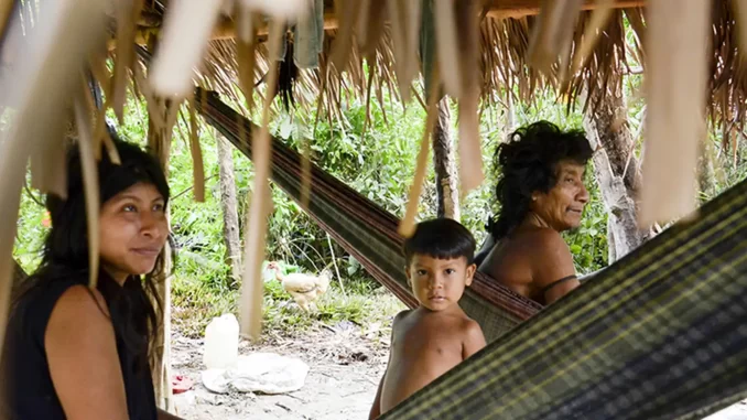 Imagem destacada - Brasil lidera povos indígenas isolados, mas confirmações ainda seguem escassas