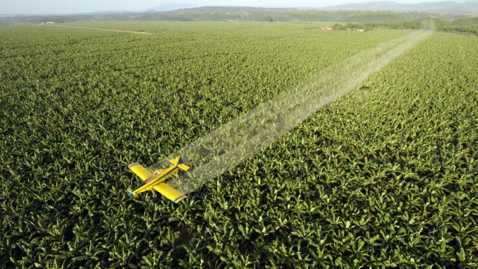 Imagem destacada - Mudanças climáticas elevam uso de pesticidas em países agrícolas