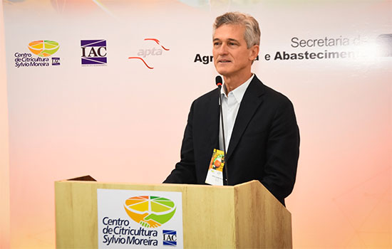 Imagem do artigo original