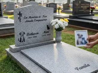Cemitério em São Paulo autorizado para sepultamento de cães e gatos em jazigos familiares, com demonstração de um túmulo de animais decorado com flores e uma foto do pet.