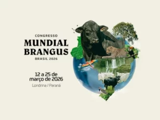 Imagem promocional do Congresso Mundial Brangus 2026 em Londrina, Paraná, destacando eventos com gado bovino, planejamento do evento entre 12 e 25 de março.