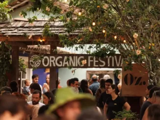 Entrada do Organic Festival Trancoso com pessoas circulando em ambiente externo, sob luzes pendentes e decoração verde.